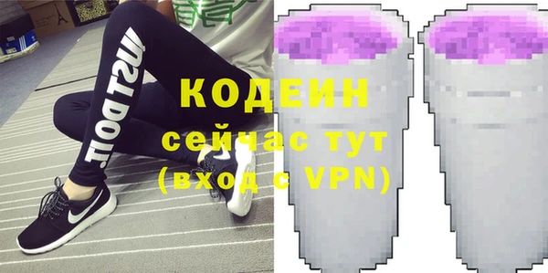 ГАЛЛЮЦИНОГЕННЫЕ ГРИБЫ Вяземский