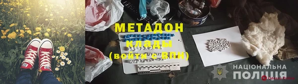 ГАЛЛЮЦИНОГЕННЫЕ ГРИБЫ Вяземский