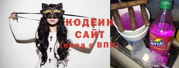 прущие грибы Гусев