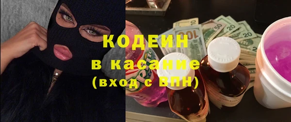 ГАЛЛЮЦИНОГЕННЫЕ ГРИБЫ Вяземский