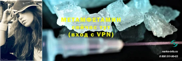 ГАЛЛЮЦИНОГЕННЫЕ ГРИБЫ Вяземский