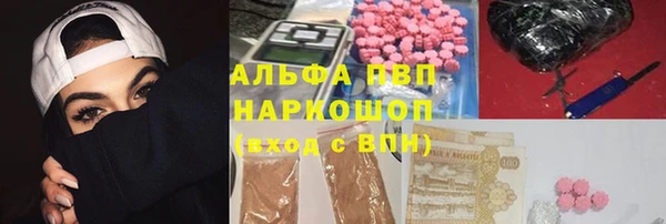 прущие грибы Гусев