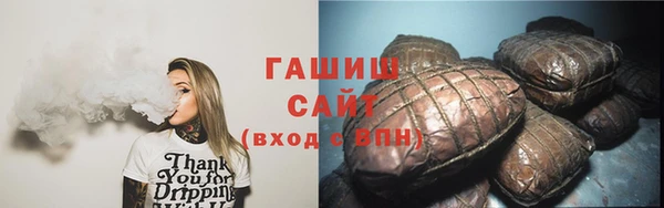 прущие грибы Гусев