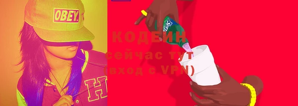 ГАЛЛЮЦИНОГЕННЫЕ ГРИБЫ Вяземский