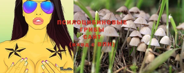 скорость Гусь-Хрустальный