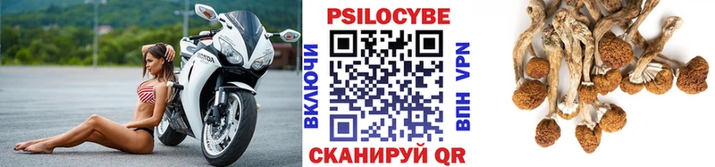 Галлюциногенные грибы мухоморы  kraken зеркало  Железногорск-Илимский 